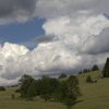 img_0853